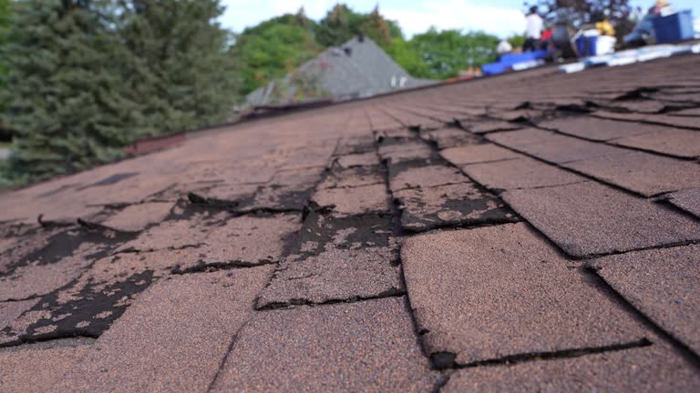 Best Hot Roofs  in Rochester, MI