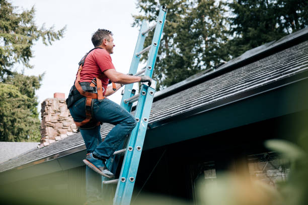 Best Solar Panel Roofing Installation  in Rochester, MI