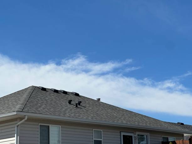 Best Asphalt Shingles Roofing  in Rochester, MI